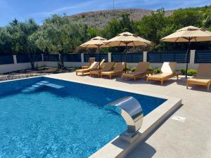 a swimming pool with lounge chairs and umbrellas at Villa Paula in Radovici
