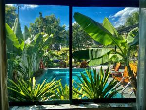 a window view of a swimming pool and plants at Mountain view Homestay in Ninh Binh