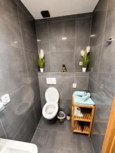 a bathroom with a toilet and a sink at Apartmány U Jelena 2 in Český Krumlov