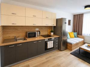 a kitchen with a sink and a refrigerator at Apartmány U Jelena 2 in Český Krumlov