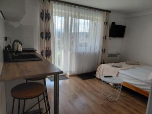 a kitchen with a sink and a bed in a room at Panorama Pienin- apartamenty i studio in Sromowce Wyżne