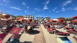 a beach with lots of chairs and umbrellas at Hotel Kursaal in Bellaria-Igea Marina