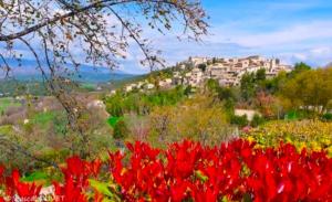 a bunch of red flowers in front of a town at Beautiful studio with a beautiful view in Lurs +5 photos