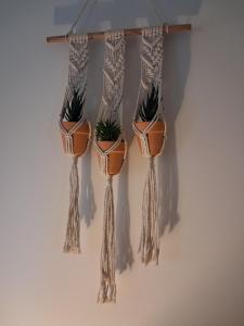 a group of four plant pots hanging on a wall at La Parenthèse 2 Rêves in Saint-Joseph
