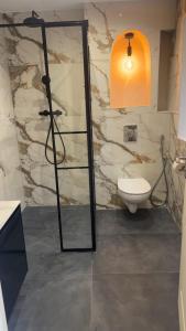 a bathroom with a shower and a toilet at Large studio in Obernai in Obernai