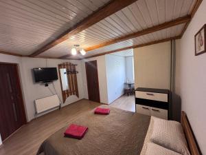 a room with a bed and a television in it at Панська Садиба in Mykulychyn