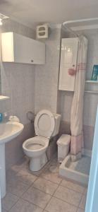 a bathroom with a toilet and a sink and a shower at Hill View in Nikiti