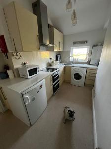 a small kitchen with a dog in the middle of it at Y Mor Cosy Apartment in Tywyn
