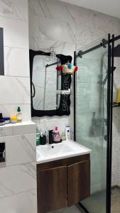 a bathroom with a shower and a sink and a mirror at Modern flat in a central location in Kenitra in Kenitra +19 photos
