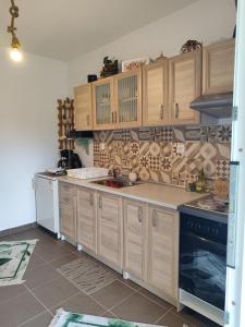a kitchen with wooden cabinets and a stove at Citrus Home in Chorefto