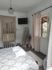 a bedroom with a bed and a television and a window at Citrus Home in Chorefto