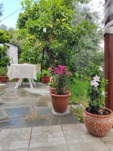 a patio with pots of flowers and a bench at Citrus Home in Chorefto +8 photos