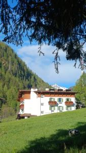 a building in the middle of a grassy field at Hotel Villa Milano in Peio Fonti