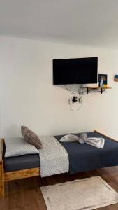 a bedroom with a bed with a flat screen tv on the wall at Apartma SAAAN in Šempas +1 photo