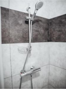 a shower with a shower head in a bathroom at 2 Pause détente avec terrasse privée in Ernée +26 photos