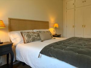 a bedroom with a large bed and two lamps at Ale Benavites in Ávila