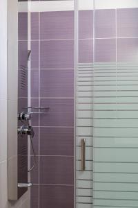 a shower in a bathroom with a glass door at Akrotiri Apartments in Makry Gialos