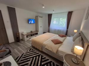 a bedroom with a bed and a tv on the wall at Apartament Claudia in Deva