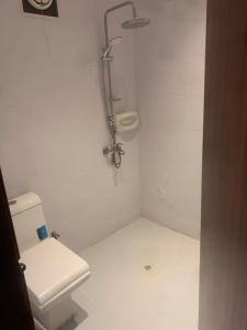 a white bathroom with a toilet and a shower at Hotel room in Salalah
