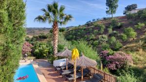 a villa with a palm tree and a swimming pool at Cortijo Lagar de Luisa in Borge