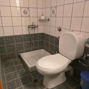 a bathroom with a toilet and a shower at Marmari Sunset View in Marmari