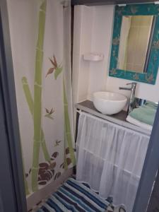 a bathroom with a sink and a toilet and a mirror at Maisonnette mitoyenne andernos in Andernos-les-Bains
