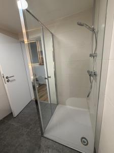 a shower with a glass door in a bathroom at Bartenwetzer Schleusenhaus 1 in Melsungen