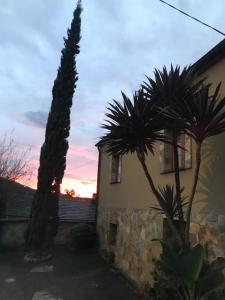 a house with two palm trees in front of it at La Casa del Castaño in Vegadeo