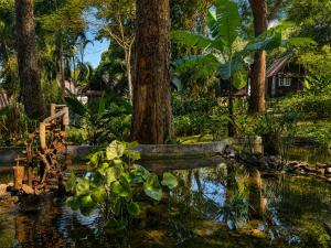 a pond in a tropical garden with trees and plants at Vanara Resort in Ko Chang