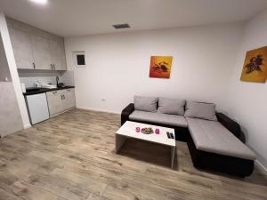 a living room with a couch and a coffee table at Green View in Petrovaradin