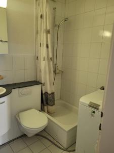 a white bathroom with a toilet and a shower at 1 Flat-Room Bern in Bern