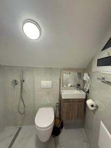 a small bathroom with a toilet and a sink at Guesthouse Kurora e Maleve in Ndërlysaj