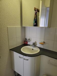 a bathroom with a sink and a mirror at 1 Flat-Room Bern in Bern