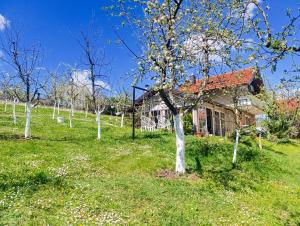 a house with a bunch of trees in a field at VA vikendica Tesanj in Tešanj