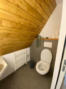 a bathroom with a toilet and a wooden ceiling at Riverside A-frame in Borşa +69 photos