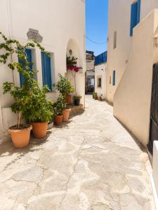 an alley with potted plants and buildings at Seaside Nest in Kythira