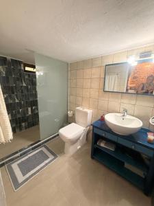 a bathroom with a toilet and a sink and a shower at Grandma Stella's Old House in Apolakkiá +19 photos