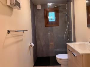 a bathroom with a shower with a toilet and a sink at Le Renard - Oignies 50 in Petit Mesnil +10 photos