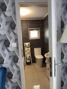 a bathroom with a toilet and a wall at Dom nad jeziorem in Lubkowo +18 photos