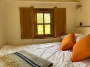 a bed with orange pillows and a window in a room at Corran Shepherds Hut in Corran