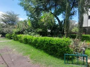 a green hedge in front of a building at MK Hotel Hawassa in Āwasa