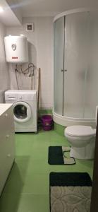 a bathroom with a toilet and a washing machine at Иссык-Куль in Tossor