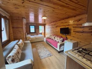 a living room in a log cabin with couches and a tv at Desera Pansiyon in Uzungöl