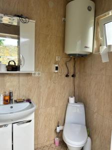 a bathroom with a white toilet and a sink at Зелений двір in Vapnyarka +21 photos