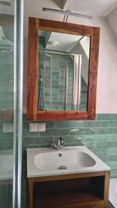a bathroom with a sink and a mirror at Bosvilla in Harfsen