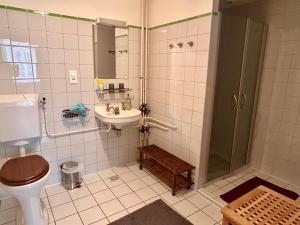 a bathroom with a shower and a toilet and a sink at Notre-Dame d'Escouloubre Sources d'eaux chaudes privées et sauna in Escouloubre +56 photos