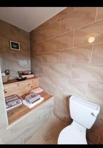a bathroom with a toilet and a wooden shelf at Atlantic Holiday Home in Milltown Malbay +17 photos