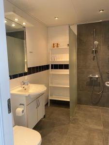 a bathroom with a shower and a toilet and a sink at Tversted Strandpark in Bindslev +38 photos