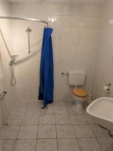a bathroom with a toilet and a blue shower curtain at Adlerhorst in Bruchhausen-Vilsen +4 photos