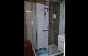 a shower with a glass door in a bathroom at Heimathafen Heilbronn in Heilbronn